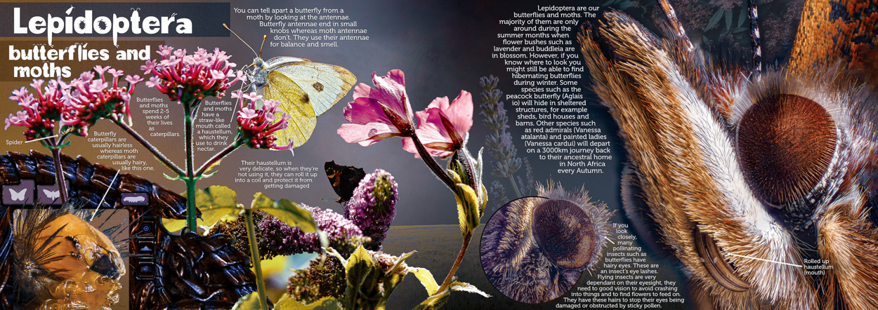A page from Yasseen Hardcastle's photo book